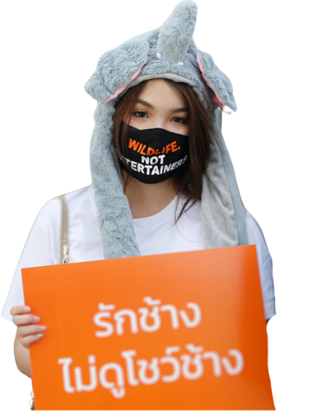 Thai women wears masking saying 'wildlife not entertainers'